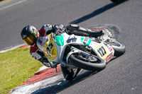 brands-hatch-photographs;brands-no-limits-trackday;cadwell-trackday-photographs;enduro-digital-images;event-digital-images;eventdigitalimages;no-limits-trackdays;peter-wileman-photography;racing-digital-images;trackday-digital-images;trackday-photos